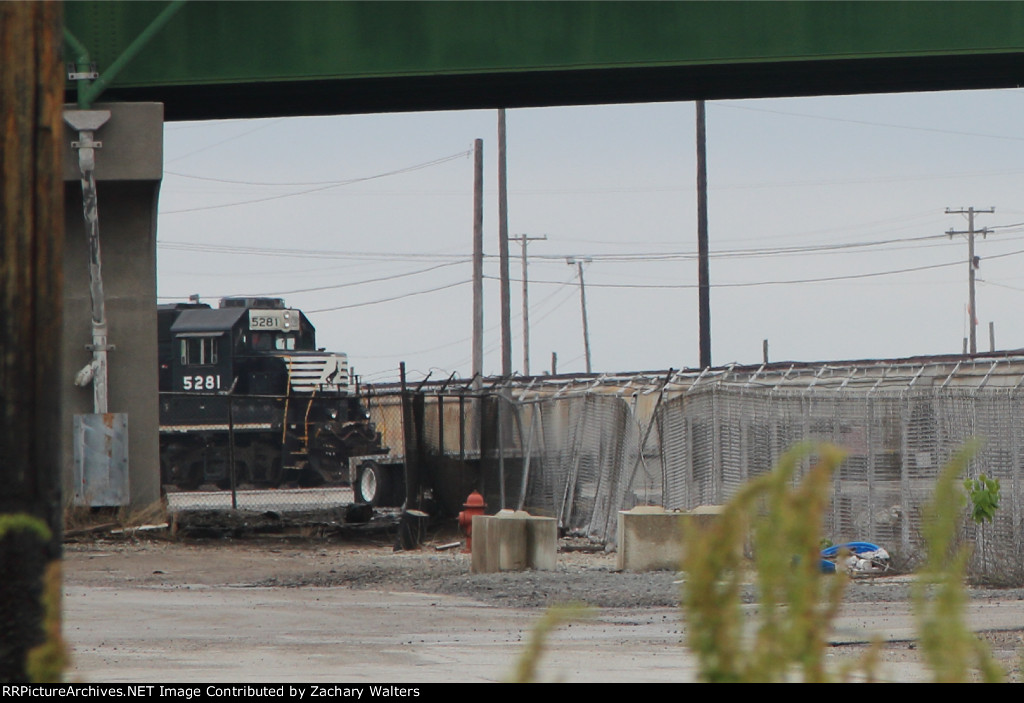 NS 5281